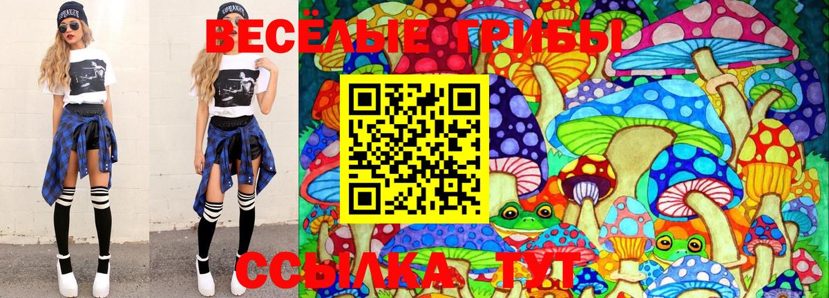 Удомля  Псилоцибиновые грибы MAGIC MUSHROOMS  Вход с VPN 